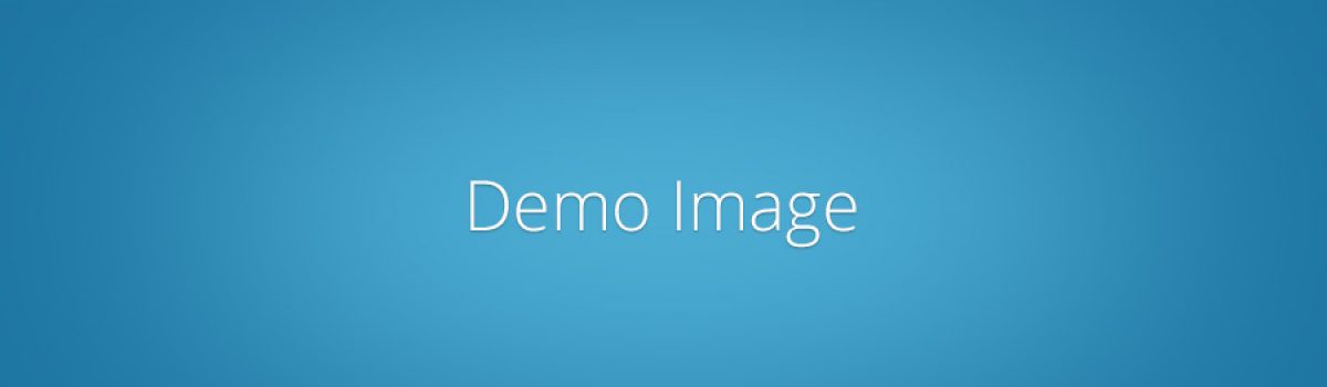 WordPress Themes